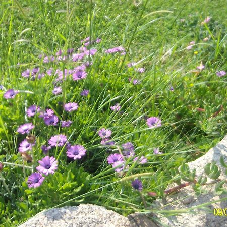 Agriturismo Spridda Bed and Breakfast Arzachena Εξωτερικό φωτογραφία