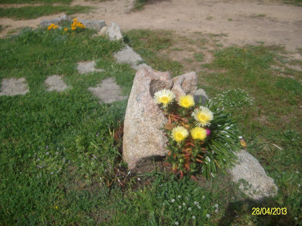 Agriturismo Spridda Bed and Breakfast Arzachena Εξωτερικό φωτογραφία