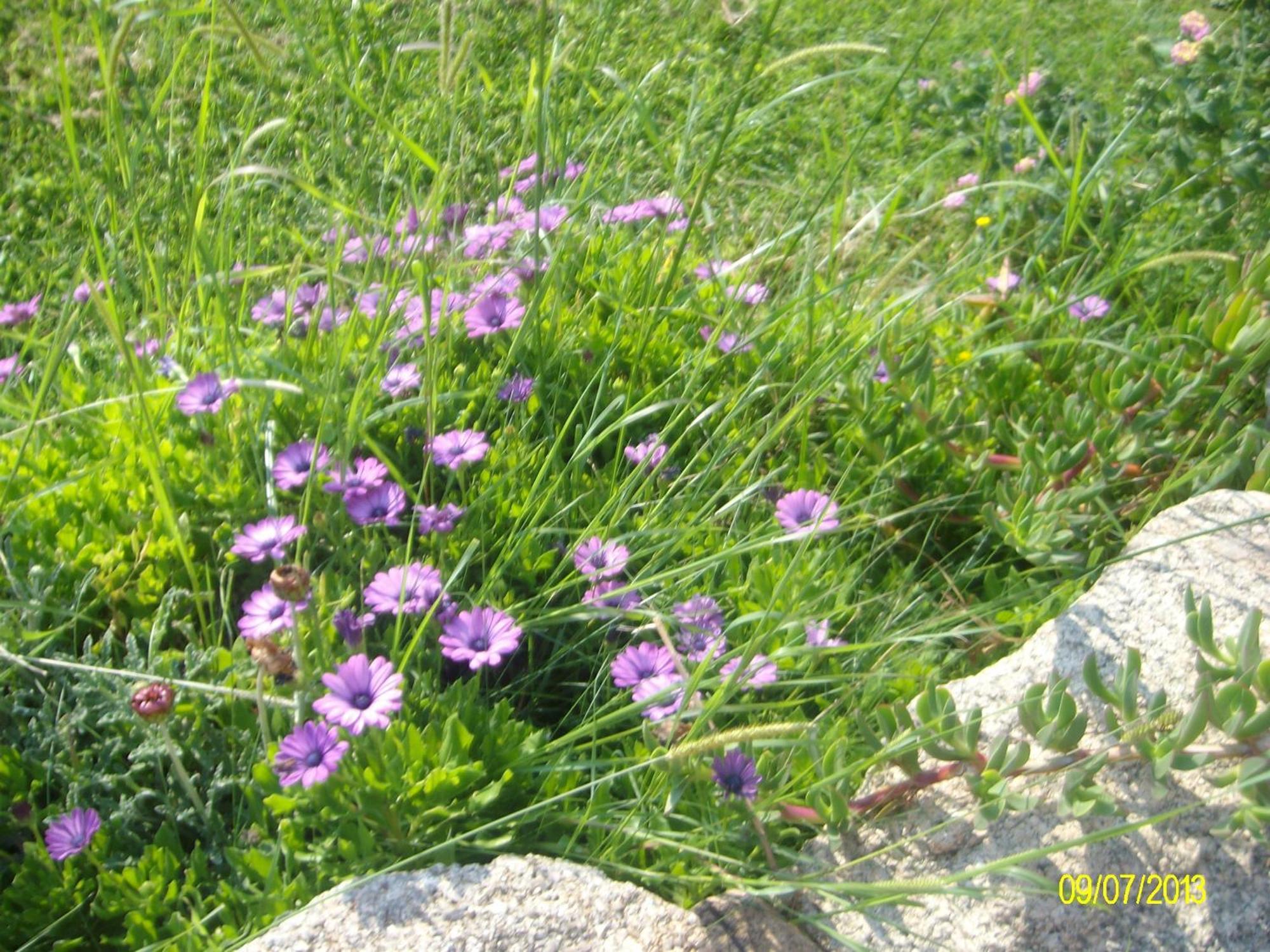 Agriturismo Spridda Bed and Breakfast Arzachena Εξωτερικό φωτογραφία