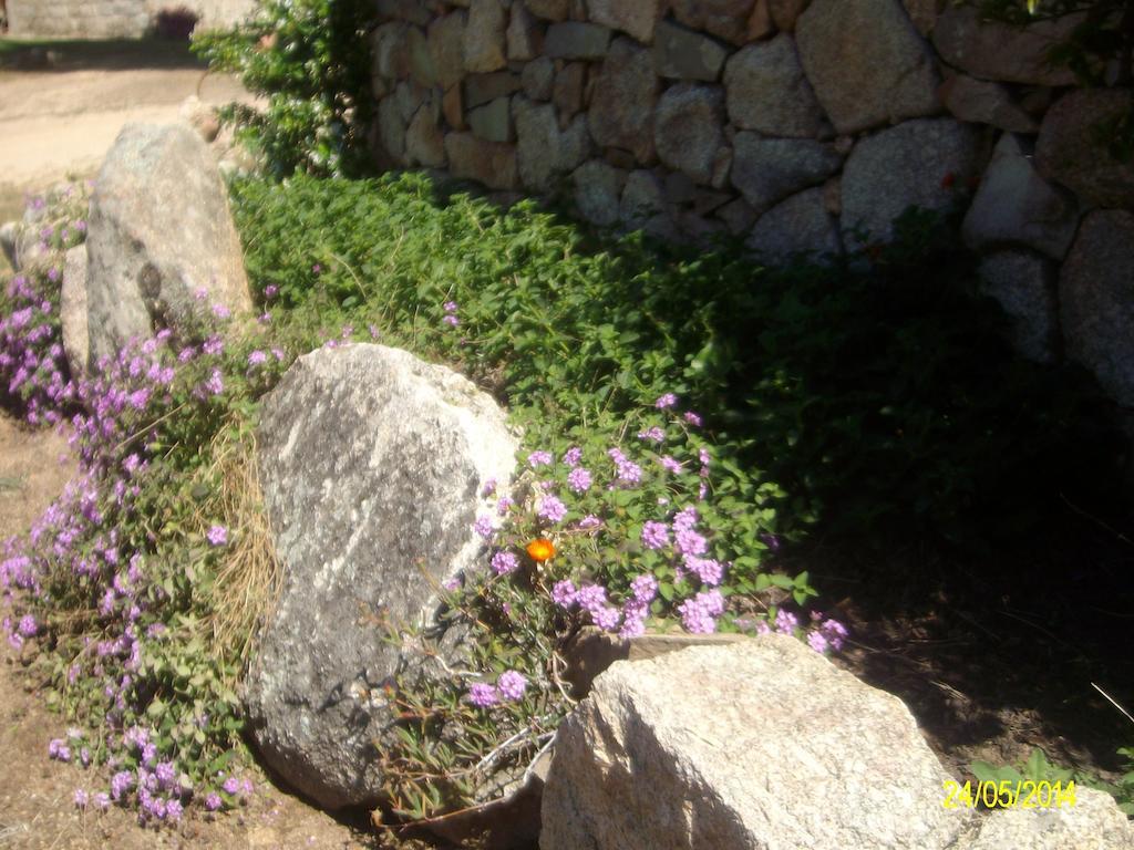 Agriturismo Spridda Bed and Breakfast Arzachena Εξωτερικό φωτογραφία